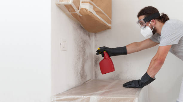 Professional Basement Mold Remediation technician working in Danville, VA