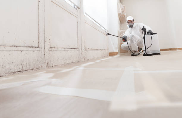 24/7 Emergency Basement Mold Remediation experts in Danville, VA