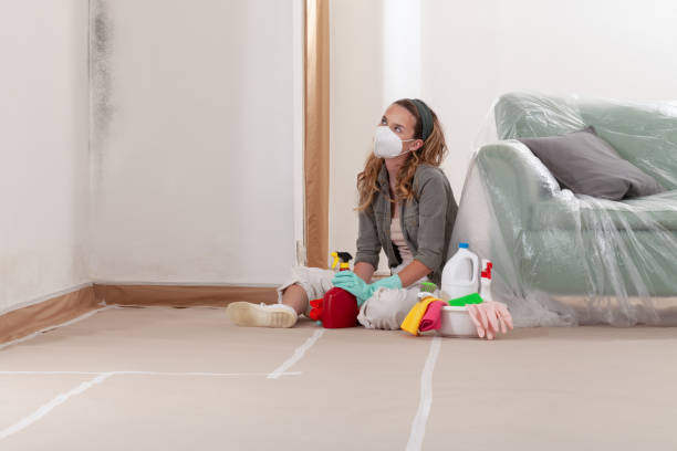 Reliable Basement Mold Remediation contractor in Danville, VA by Mold Remediation HQ